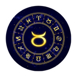 TAURUS BYK TAURUS BYK
